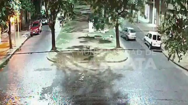 video: perdio el control del auto y se incrusto contra un arbol en la rambla de 66