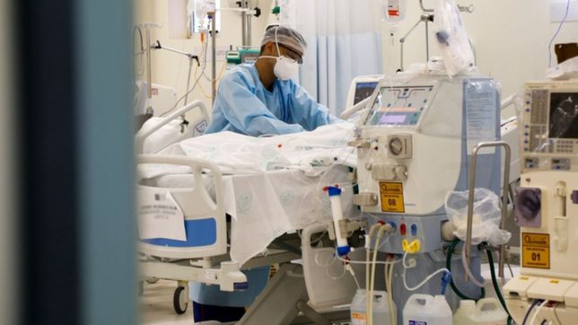 asi es la inmunidad a largo plazo que podria convertir al covid-19 en una molestia leve