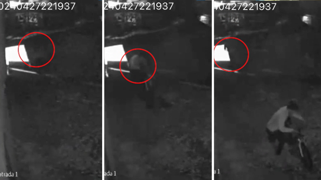 video: dos delincuentes robaron una bicicleta de un nene en la plata y escaparon