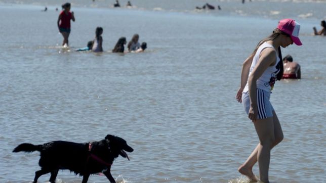 provincia piensa en una temporada de verano ?excelente? para el turismo