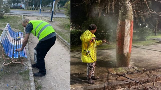 despues de la pelea de barras, limpian el bosque y acuerdan un mensaje contra la violencia
