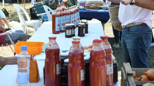 buscan regularizar en la plata la actividad de pequenos productores artesanales