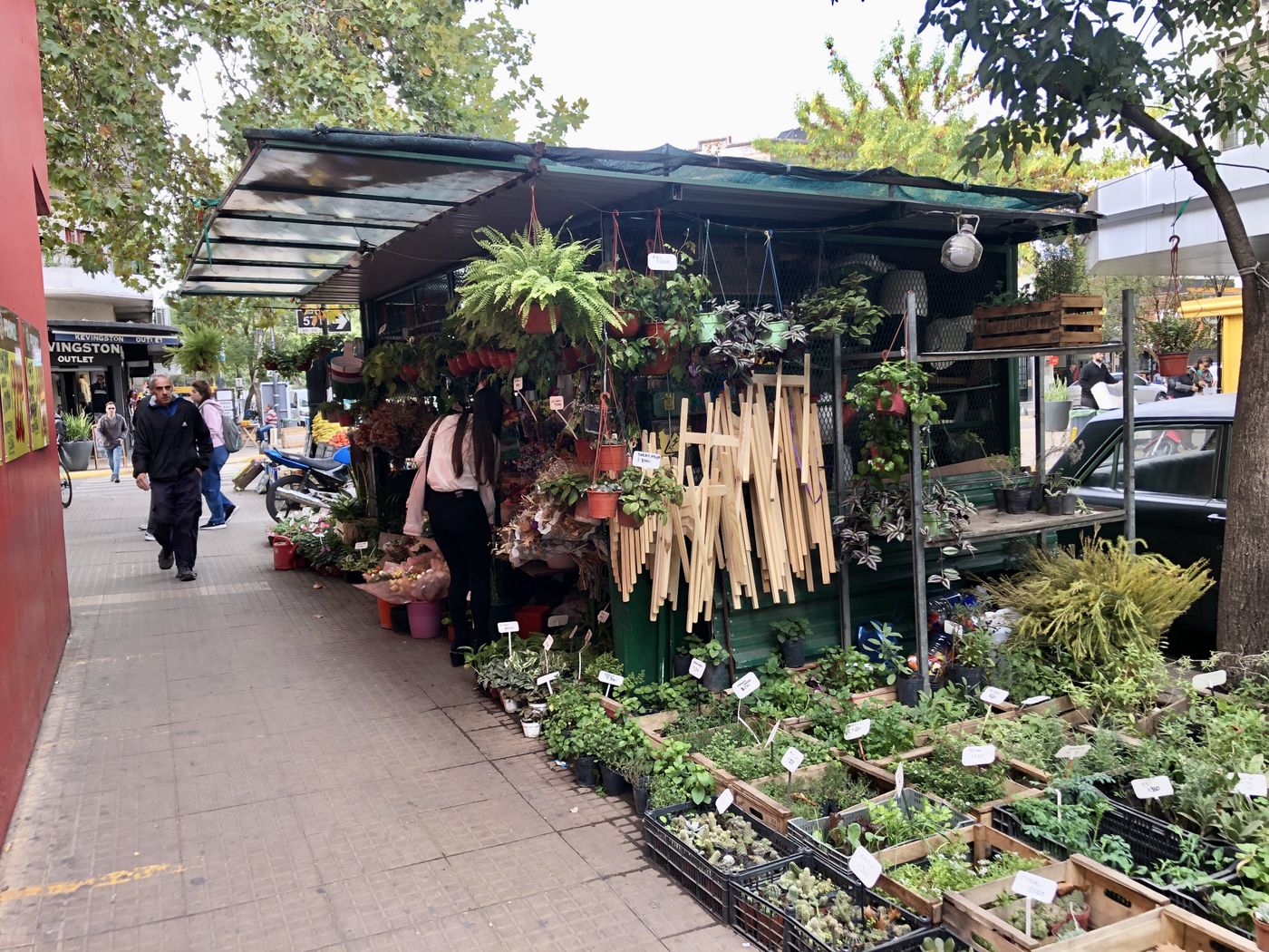 puestos flores