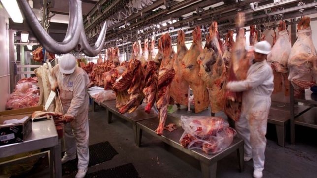 el gobierno prohibe la exportacion de asado, vacio, matambre y otros cuatro cortes
