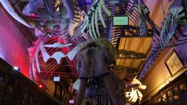 asi se vive en la plata una nueva edicion de museos a la luz de la luna asi se vive en la plata una nueva edicion de museos a la luz de la luna