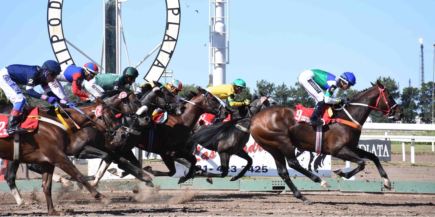 El próximo 3 de octubre volverán las carreras en el Hipódromo de La Plata.