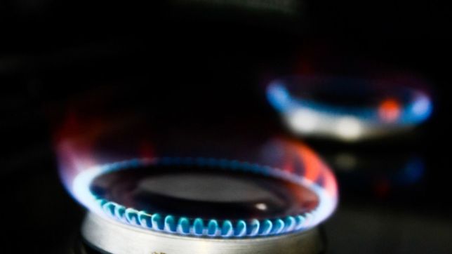 habra multas para quienes mientan en el formulario de los subsidios de luz y gas
