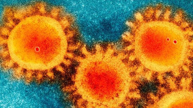 hallan una mutacion del coronavirus que pudo haberlo hecho mas contagioso