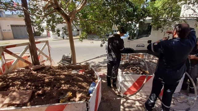 ola de calor, consumo record de energia y cortes de luz en la plata