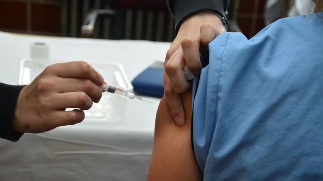 comienzan a aplicar gratis la vacuna antigripal en toda la provincia de buenos aires