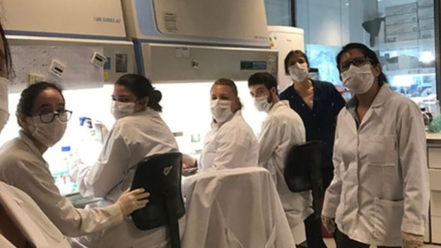 ¿en que fase esta la vacuna contra el coronavirus que se produce en argentina?