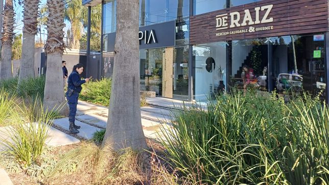 ola de robos en el centro comercial de city bell durante el ultimo fin de semana