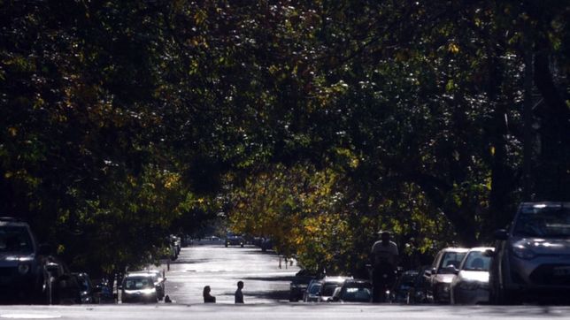 asi funcionan los servicios municipales durante este miercoles de navidad