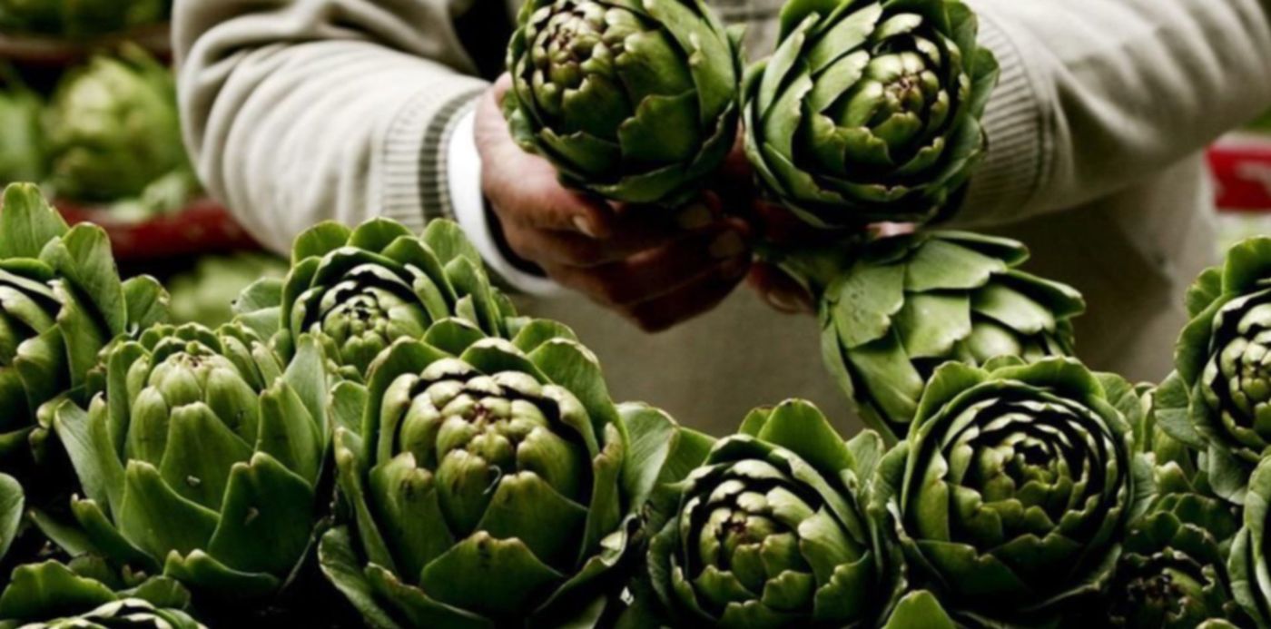 1538498386133.jpg?x=8&y=5&width=1010&height=505&rotate=0&scaleX=1&scaleY=1&ow=1024&oh=706&&cw=1920&ch=950