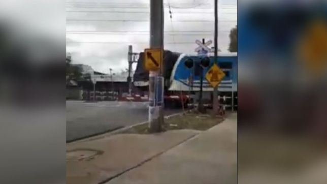 video: un tren del roca choco contra un camion que quedo en medio de las vias