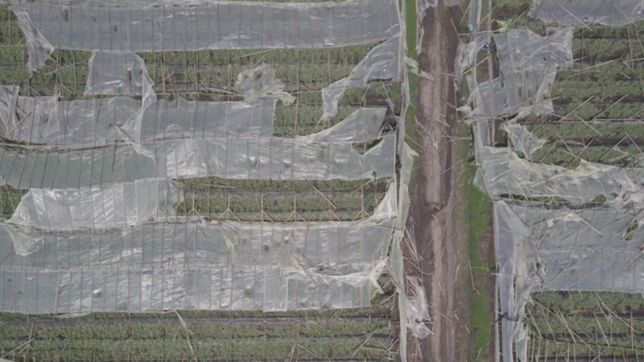 video: tras el temporal, asi se ve el cordon frutihorticola platense desde #eldronede0221