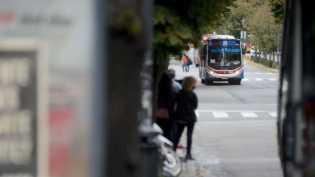 una mujer esperaba el micro en la plata y le robaron salvajemente con un cuchillo