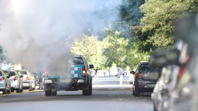 en la plata refuerzan la fumigacion para evitar contagios de dengue, zika y chikungunya