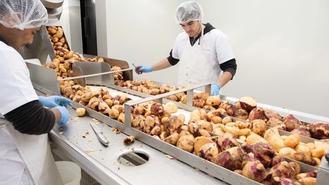 Proyectan que la UNLP pueda producir alimentos sociales para la provincia de Buenos Aires Proyectan que la UNLP pueda producir alimentos sociales para la provincia de Buenos Aires
