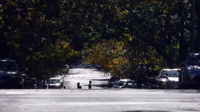 ¿como funcionaran los servicios municipales en nochebuena y navidad?