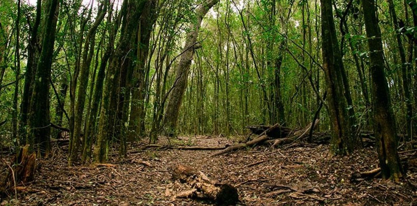 1646573846920.jpg?x=5&y=115&width=786&height=393&rotate=0&scaleX=1&scaleY=1&ow=800&oh=533&&cw=1920&ch=950