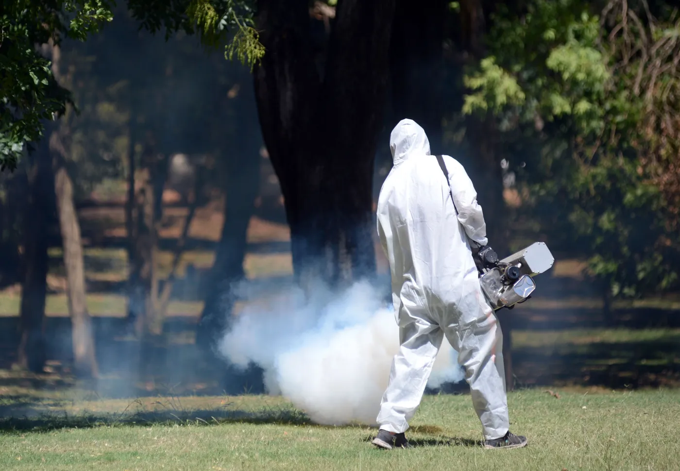 Desde este lunes comenzaron las tareas de fumigación en distintos barrios de La Plata.