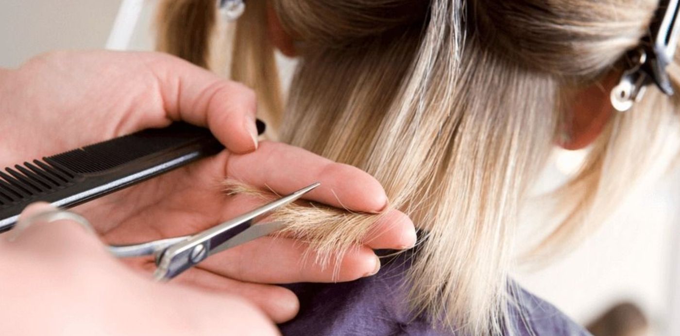 1612912129745.jpeg?x=7&y=6&width=979&height=490&rotate=0&scaleX=1&scaleY=1&ow=1000&oh=500&&cw=1920&ch=950