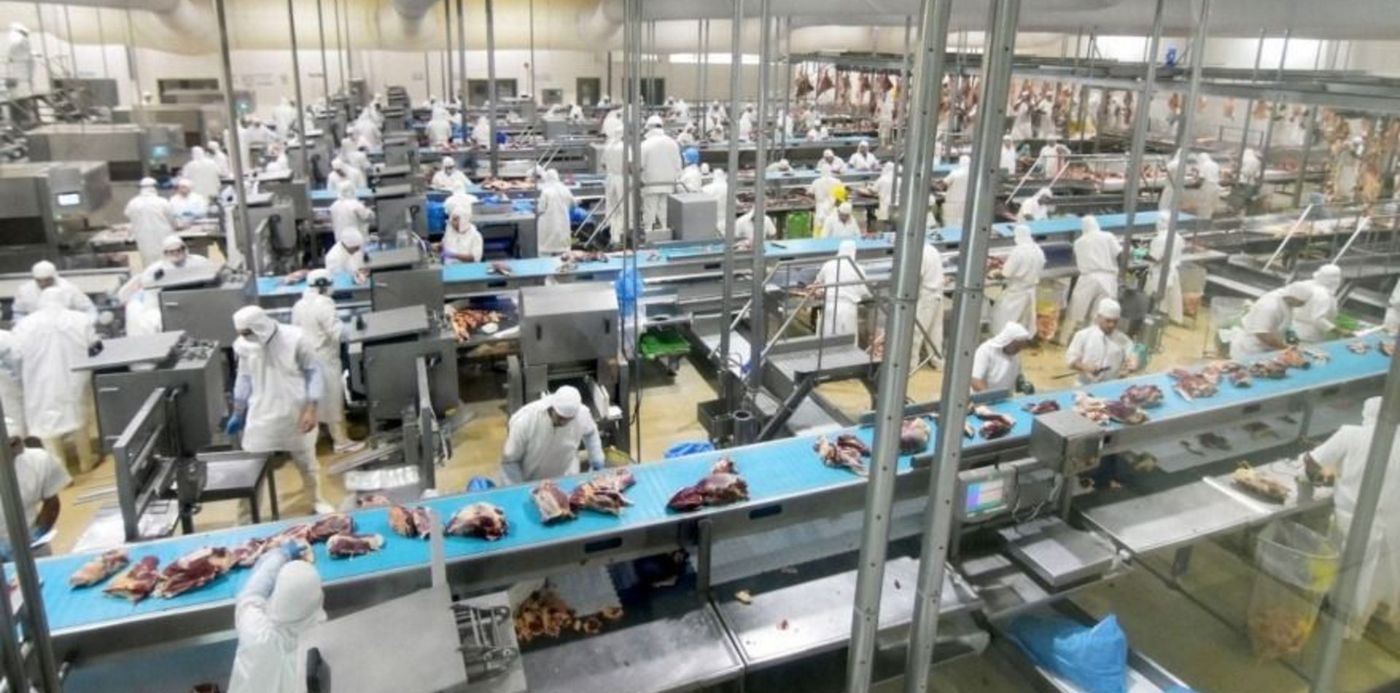 1573306456400.jpg?height=440&rotate=0&scaleY=1&oh=495&y=39&width=880&scaleX=1&ow=880&x=0&&cw=1920&ch=950