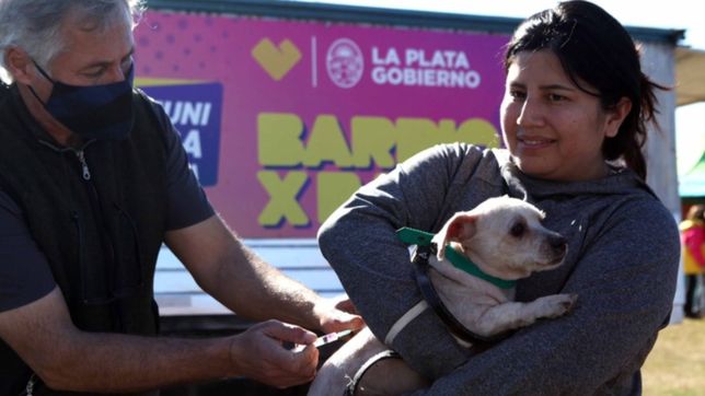 vacunacion, tramites y servicios: barrio x barrio desembarca en arturo segui