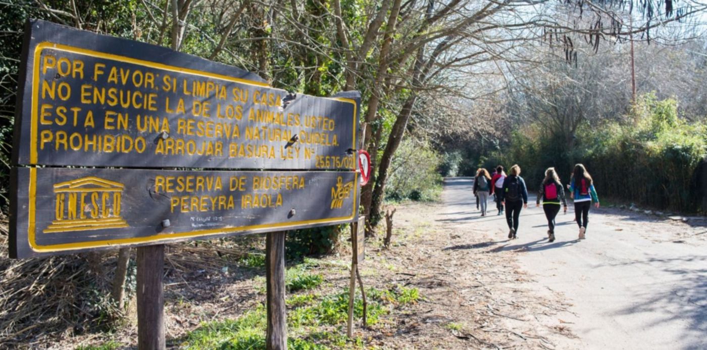 Árbol de Cristal Parque Pereyra Iraola Trekking
