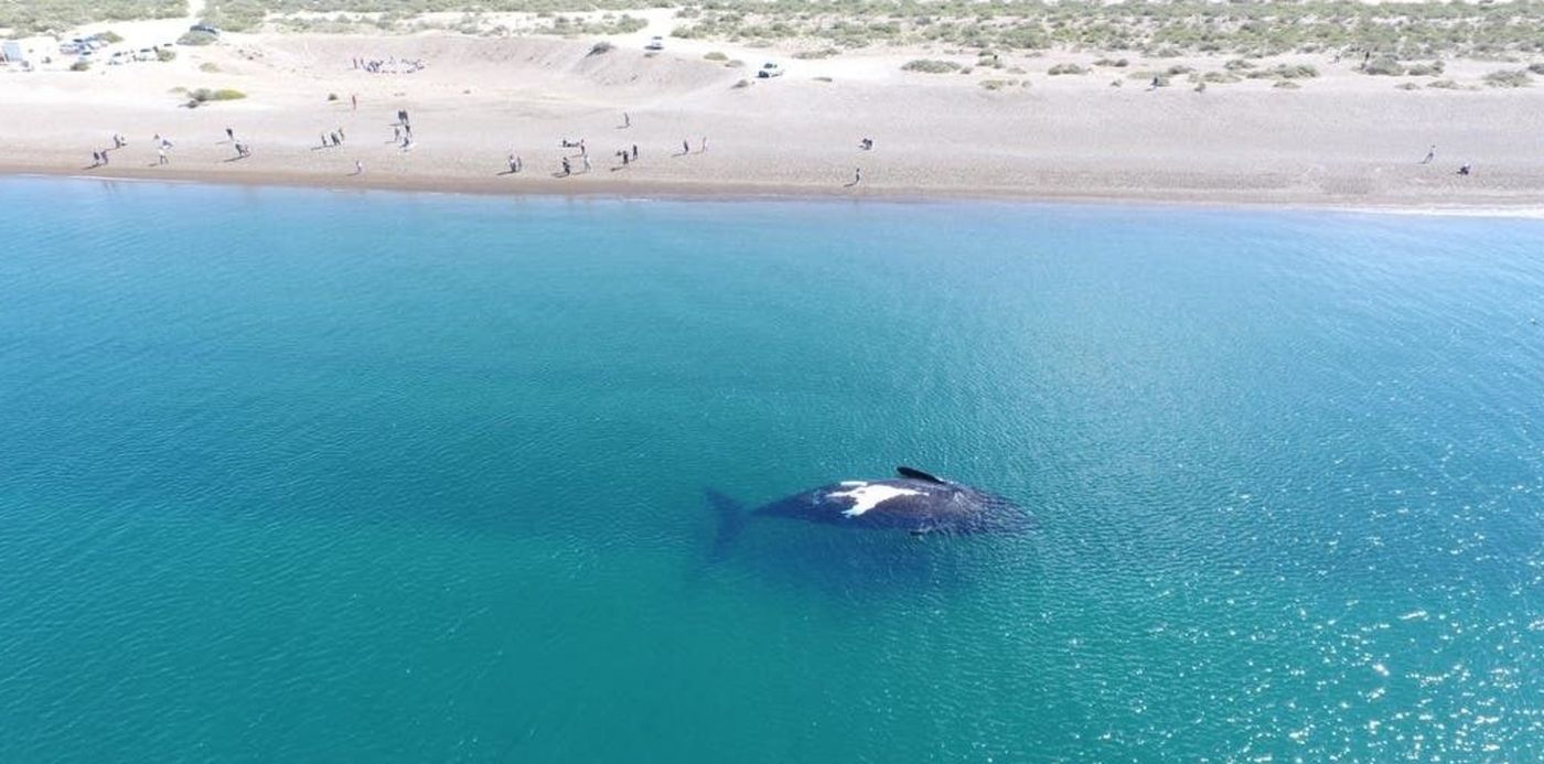 1608567204153.jpg?x=12&y=49&width=1017&height=509&rotate=0&scaleX=1&scaleY=1&ow=1033&oh=581&&cw=1920&ch=950