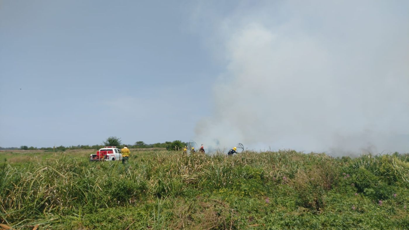 El incendio comenzó este lunes por la mañana en los terrenos de la Reserva Ecológica de Berazategui.