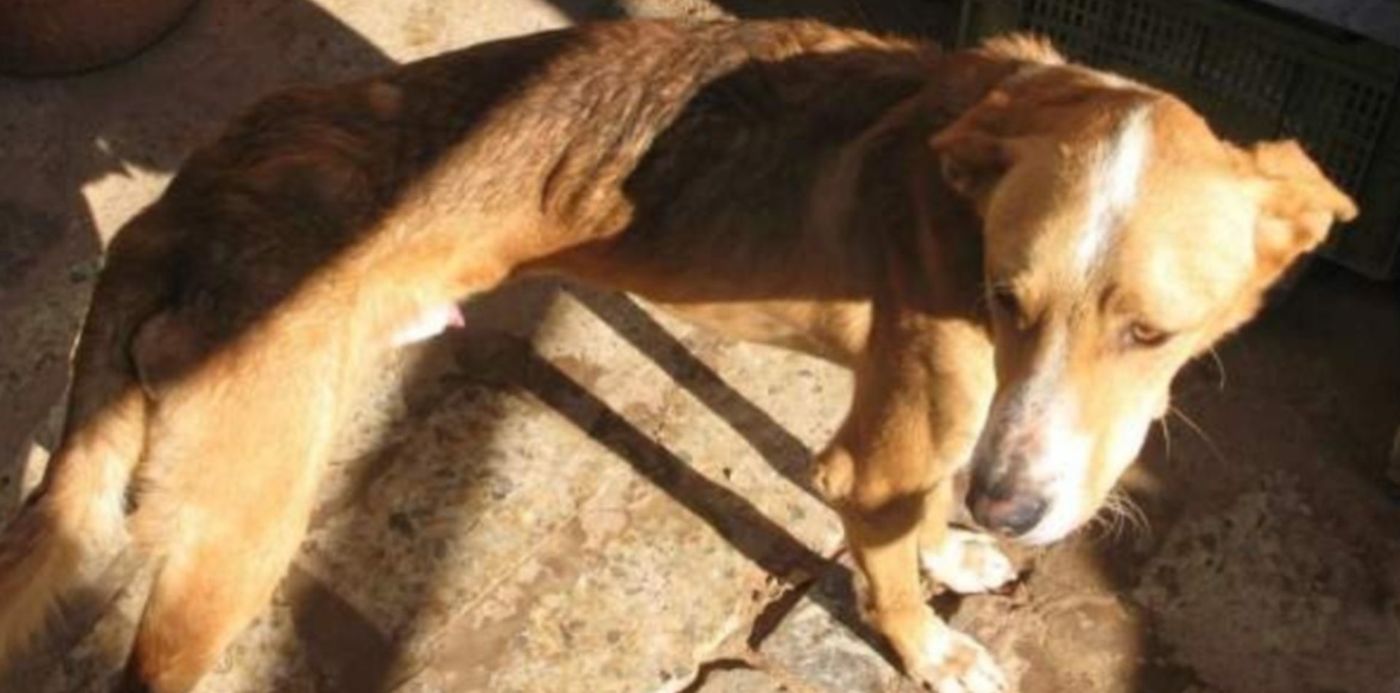 1579520420012.jpg?scaleY=1&ow=1200&oh=675&y=10&width=1183&height=591&rotate=0&scaleX=1&x=7&&cw=1920&ch=950