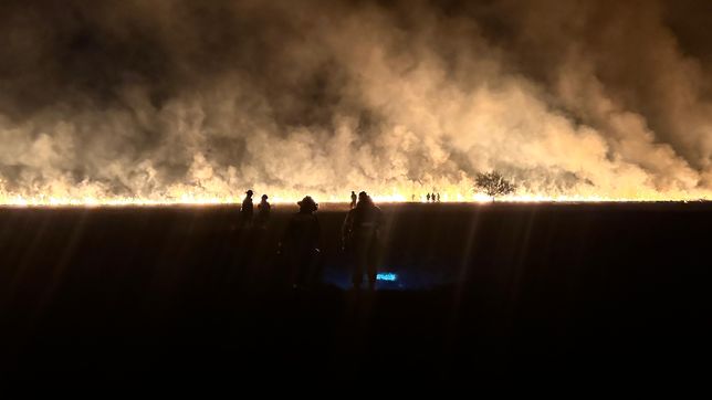 las impactantes imagenes del incendio en la reserva natural de punta lara