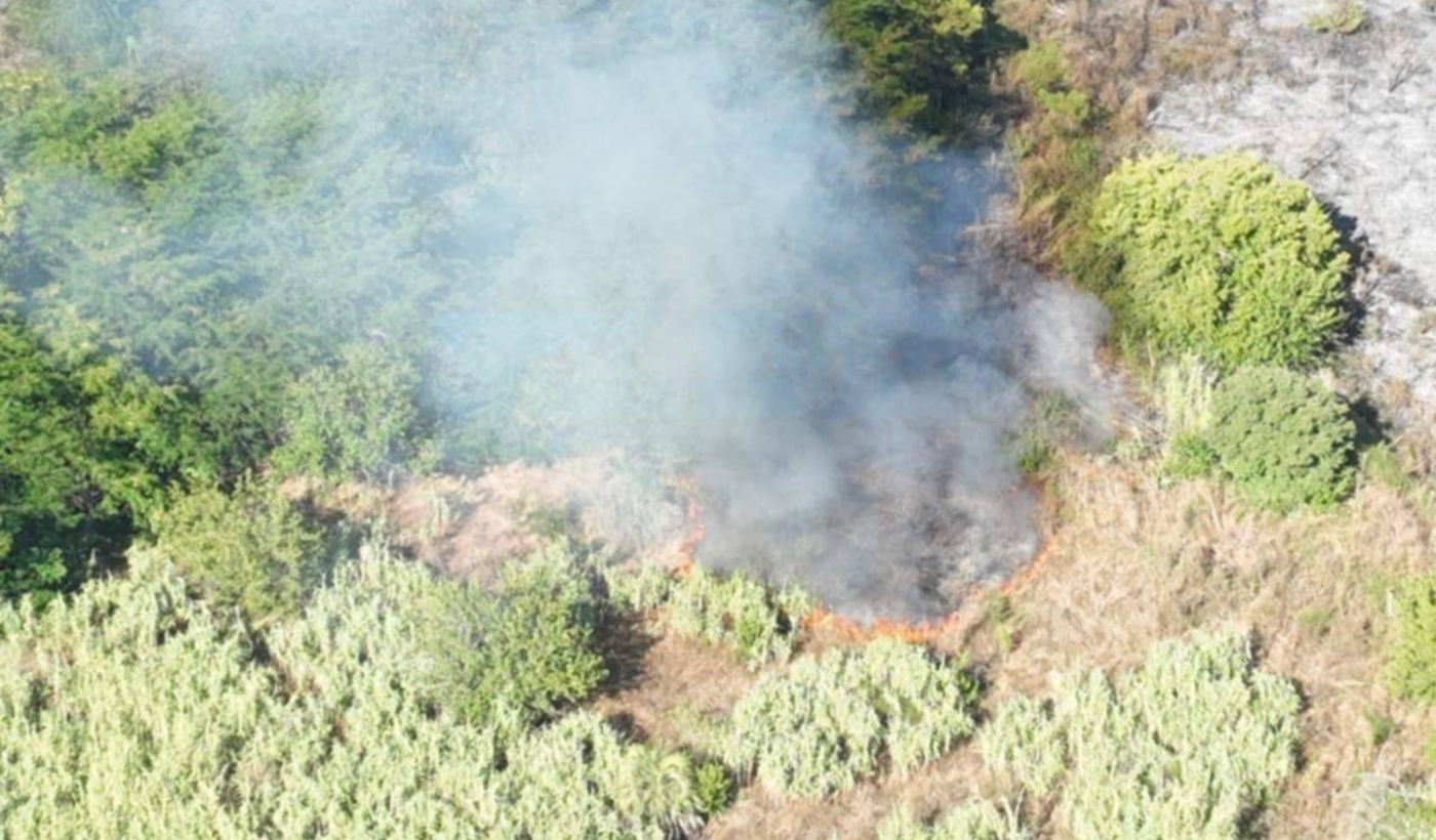 Diseño sin título (4)