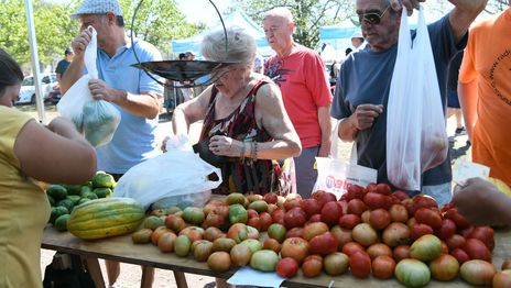 Fiesta del Tomate Platense (1).JPG