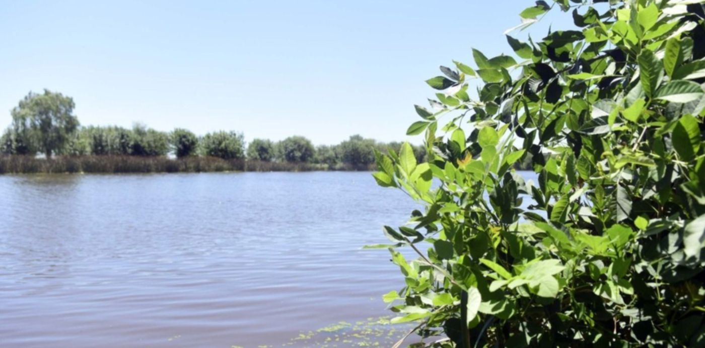 1674252132519.jpeg?x=6&y=99&width=1274&height=638&rotate=0&scaleX=1&scaleY=1&ow=1280&oh=853&&cw=1920&ch=950