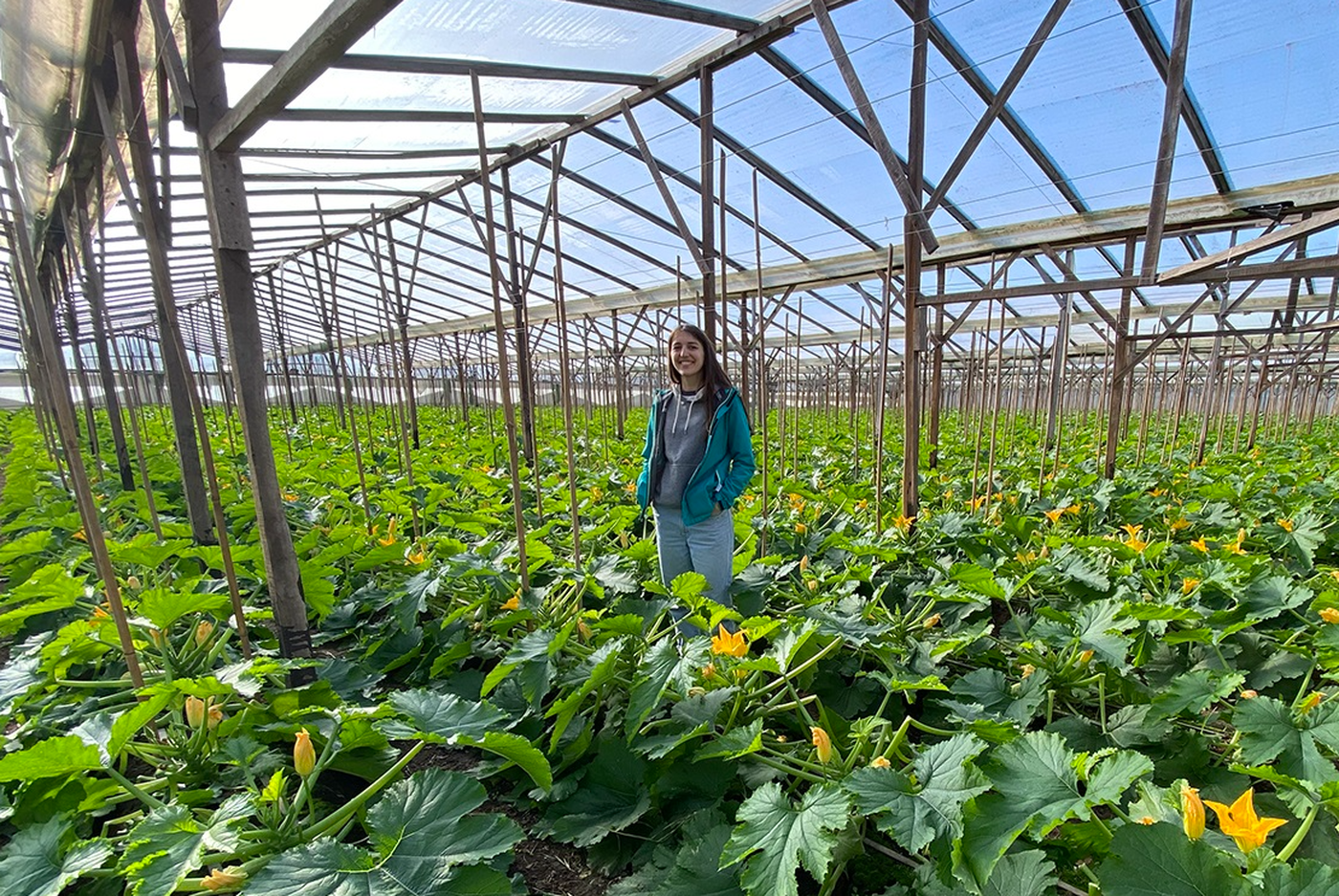unlp investigación cordon frutihorticola la plata 2.PNG