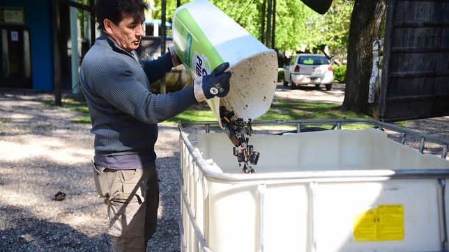 lanzan un plan para promover el reciclado de pilas y aceite vegetal para reducir la contaminacion