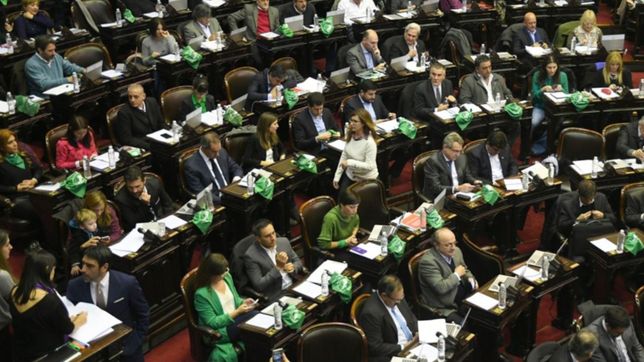 ¿como votaran los diputados platenses sobre el aborto legal?