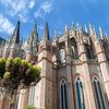 La Plata eliminó a Notre Dame y avanza en el Mundial de Catedrales