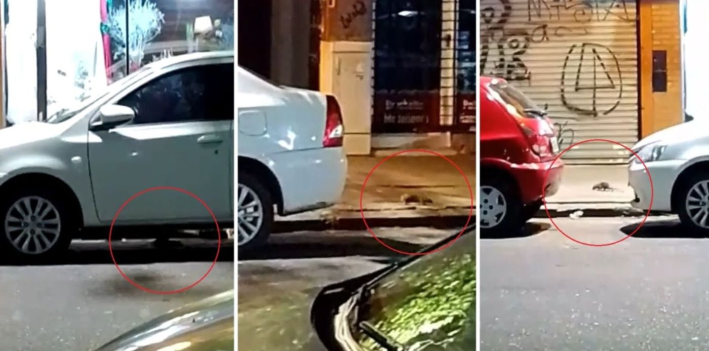 1670092801149.jpg?x=8&y=5&width=1474&height=737&rotate=0&scaleX=1&scaleY=1&ow=1500&oh=742&&cw=1920&ch=950