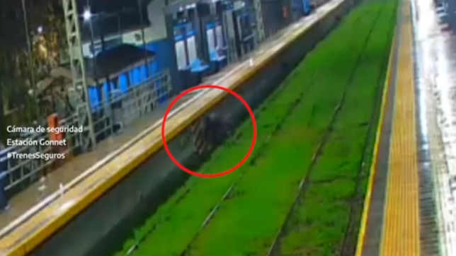 video: un hombre se metio en un anden del tren roca para robar cables y todo quedo filmado
