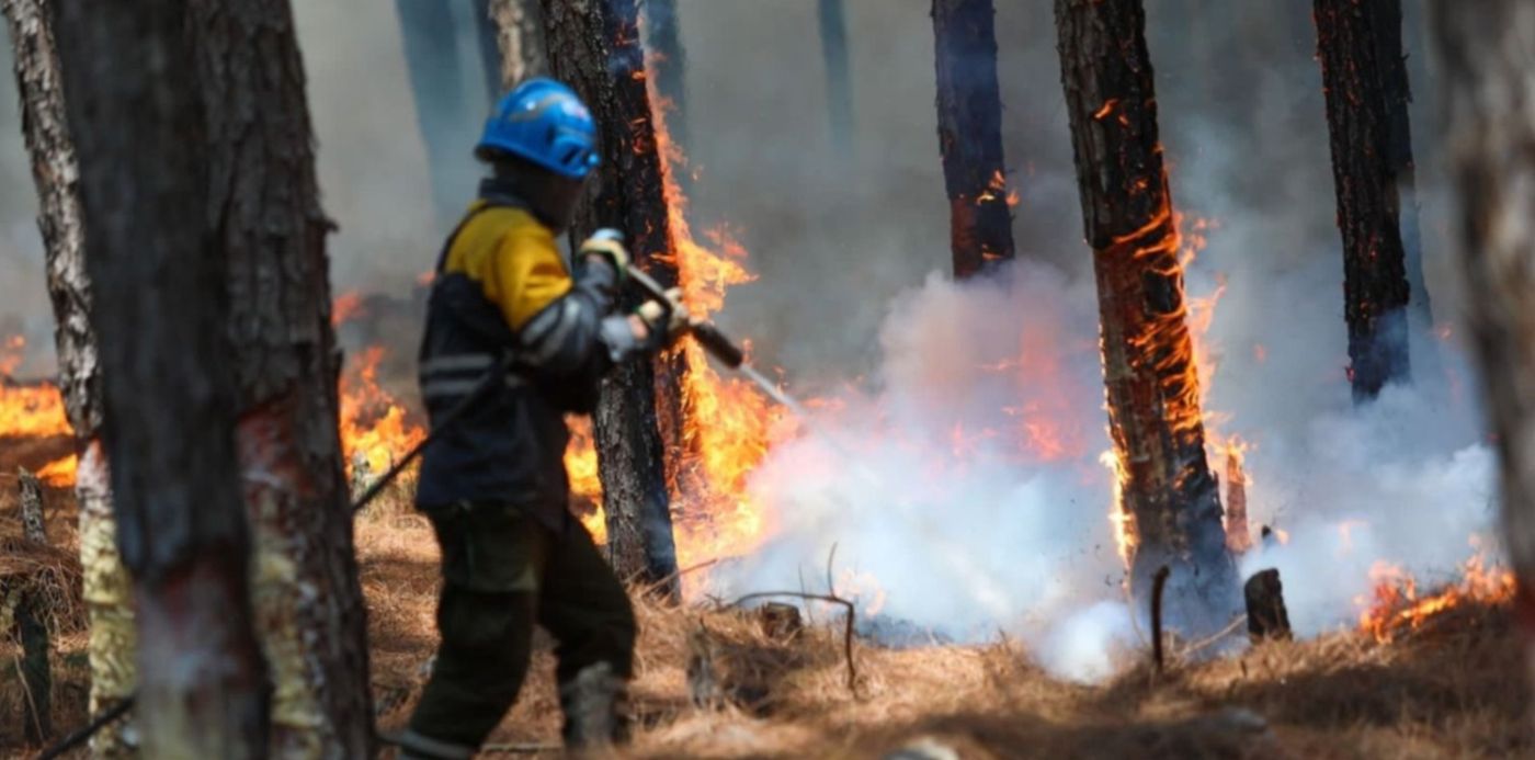 1645476429814.jpg?x=3&y=83&width=1494&height=746&rotate=0&scaleX=1&scaleY=1&ow=1500&oh=999&&cw=1920&ch=950