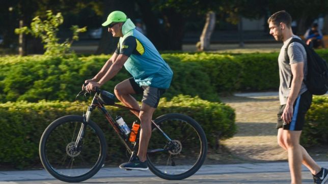 caluroso, humedo y soleado: ¿como estara el clima en la plata durante el martes?