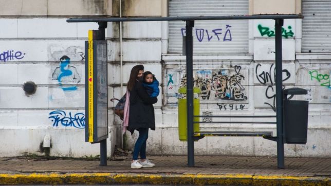 paradas, tiempo de espera y trayecto: la encuesta para mejorar el transporte en la plata