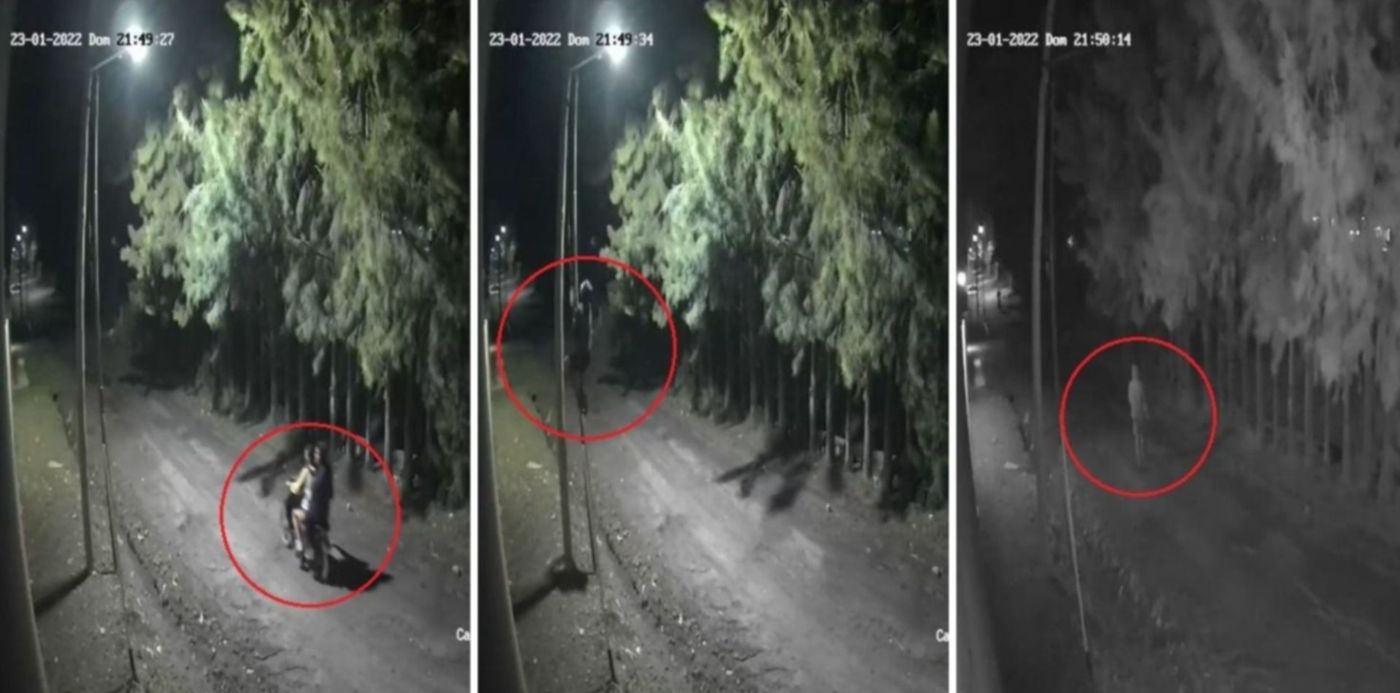 1643034760241.jpg?x=0&y=4&width=1472&height=736&rotate=0&scaleX=1&scaleY=1&ow=1500&oh=742&&cw=1920&ch=950