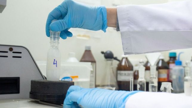 abren becas de estimulo para estudiantes de la unlp: ¿que disciplinas y como anotarse?