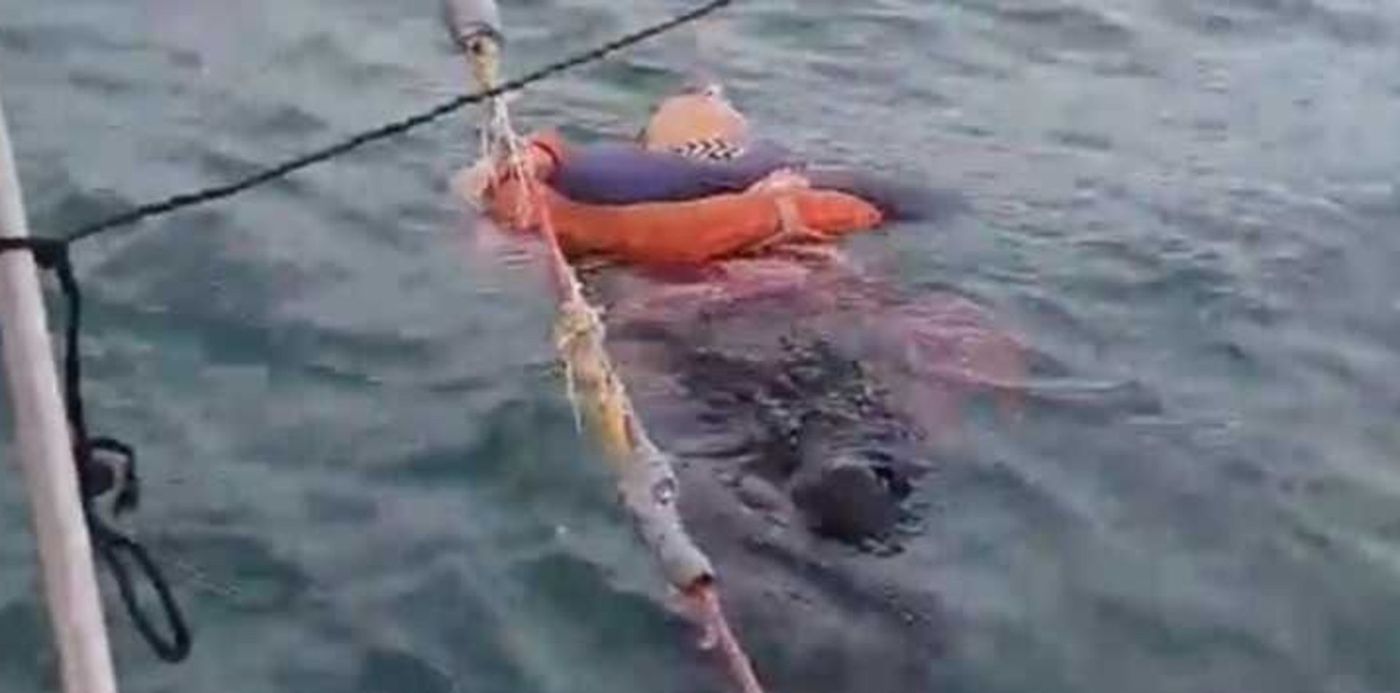 1601568749380.jpg?x=13&y=0&width=714&height=357&rotate=0&scaleX=1&scaleY=1&ow=731&oh=411&&cw=1920&ch=950