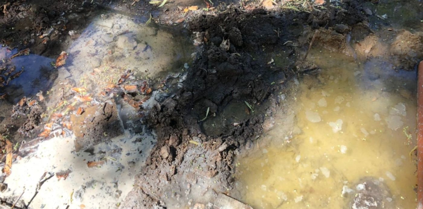 1671651797909.jpeg?x=4&y=368&width=1492&height=746&rotate=0&scaleX=1&scaleY=1&ow=1500&oh=1125&&cw=1920&ch=950